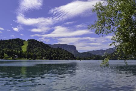 Wildlife. Mountain lake on a sunny dayの写真素材