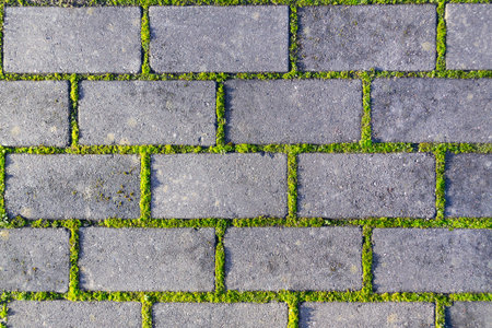 Cobbles close-up with a  green grass in the seams. Old stone pavement texture. Cobblestoned pavement...