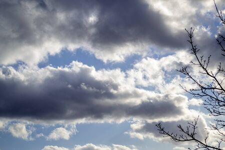 Grey white clouds on blue sky with a branch on the right side. Spring day. Beautiful nature background.の写真素材