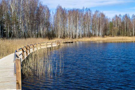Wooden path along the lake.の写真素材