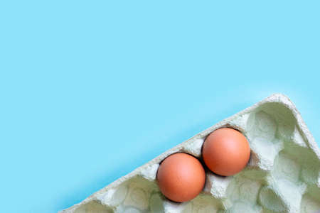 Several eggs in a carton in the corner on a light blue background. With place for text. Ecology and recycling concept. Layout or flat lay.の写真素材