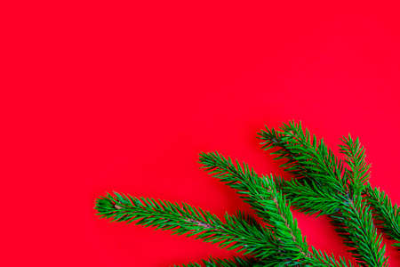 Flat lay, copy space. Green Christmas tree branch on an empty solid red background. Branch frame. New Year and Christmas concept.の写真素材