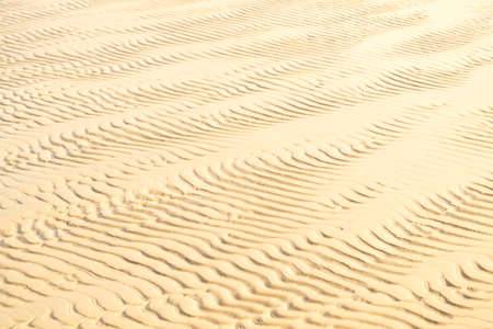 Wavy sand background close-up. Sand texture on a sea shore. Summer and vacotion concept. Top view, copy space.の写真素材