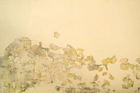 Beige painted wall. Cracked paint in the corner. Weathered color with chipped paint. Copy space.の写真素材