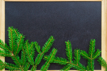 Branches of Christmas tree from below against a black board with a wooden frame. Place for text, copy space. New year and winter holidays concept.の写真素材