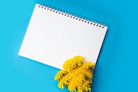 White blank spiral notebook lies horizontal on a blue background. A bouquet of dandelions nearby. Spring mood. Flat lay, copy space.の写真素材