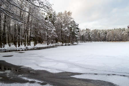 Shore of lake with a forest. Snow covered trees. Winter mood, the nature of Latvia.の写真素材