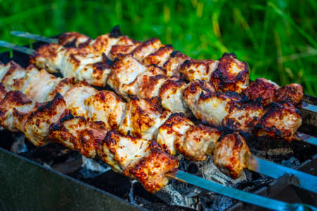 Barbecue on the grill. Fried, ruddy pieces of meat on skewers. Camping, family vacation, rest on nature. Green grass on background.の写真素材