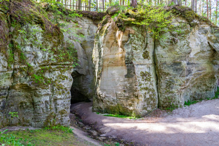 River stream from cave. Fragment of sandstone cliff Big Elita. In forest in sunny day. Beautiful...