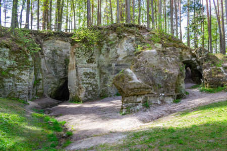 Big Elita rock. General view of sandstone cliff, in forest in sunny day. Beautiful spring or early summer background. Green grass and young foliage.の写真素材