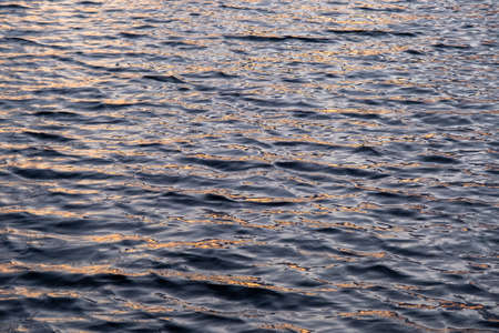 Ripples, small, little wave. Lot of waves on lake surface on sunset time..Gold water texture, natural summer background.の写真素材