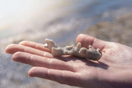 Young woman hand holding coral white rock fossil. Red sea beach. Sun lights. Climate change, pollution. Environmenatl issues. Dry, dead coral structure. Tourism and travel concept.の写真素材