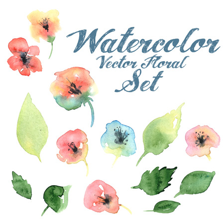 Vector watercolor floral set with flovers and foliageのイラスト素材