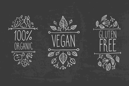 Hand-sketched typographic elements on chalkboard background.のイラスト素材