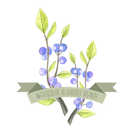 Berry branch watercolor vector handpainted setのイラスト素材