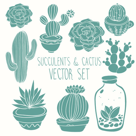 Succulents and cactus vector handpainted setの写真素材