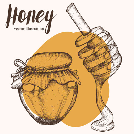 Honey jar, barrel, spoon, vintage vector set. Engraved organic food hand drawn sketch illustration.のイラスト素材