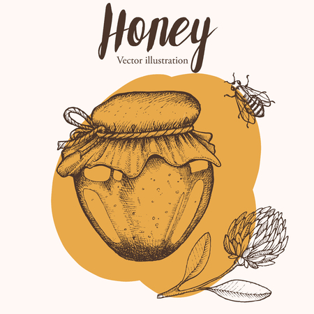 Honey jar, barre, bee, clover, vintage vector set. Engraved organic food hand drawn sketch illustration.のイラスト素材