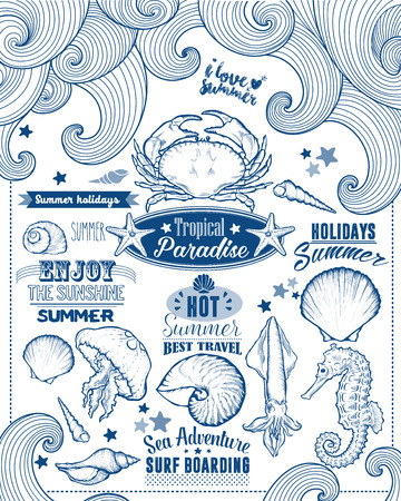 Set of Summer Element. Calligraphic Label, Seashell, Flower.  Style. Typographic Design for  Label. Summer Holiday. Tropical Paradise, Best Tour, Beach Party, Bon Voyageのイラスト素材