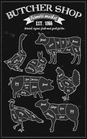 Cutting meat diagram guide cut scheme in vintage style. Chalk illustration graphic element for menu, banner. Steak cow pig chicken rabbit turkey goose duck lamb divided pieces. Silhouettes of animals.のイラスト素材