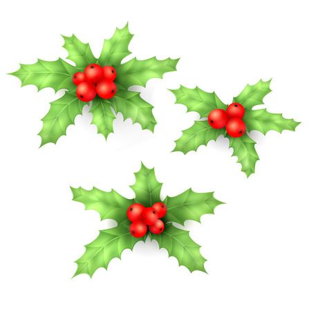 Floral winter branch of red christmas decor berry symbol set. European christmas berry holly ilex aquifolium leaves and fruit. Decorative vector holly christmas berry leaf traditional ornament symbolのイラスト素材