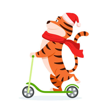 Happy cartoon tiger in Santa hat rides a kick scooter. Holiday wild cat isolated on white background. Adorable orange striped character Smiling Chinese New Year 2022 symbol. Animal vector illustrationのイラスト素材