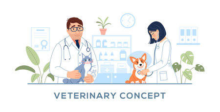 Veterinary clinic concept. Male, female veterinarians with stethoscope are doing veterinary exam on hospital background. Cute animals dog and cat diagnostics Flat line pet medicine vector illustrationのイラスト素材