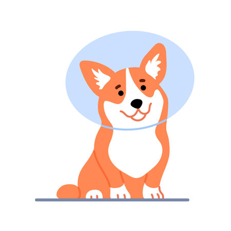 Cute little welsh corgi wearing protective cone isolated on white background. Beautiful purebred dog in veterinary Elizabethan collar design Happy smiling puppy Flat line character vector illustrationのイラスト素材