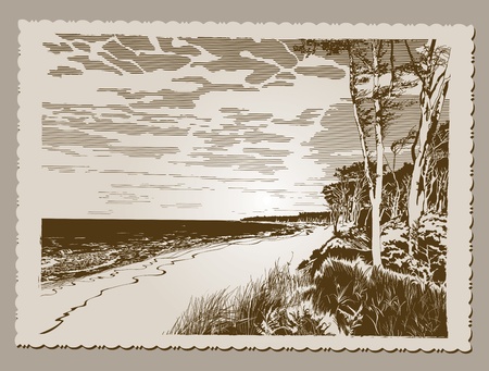 Beach Postcardのイラスト素材