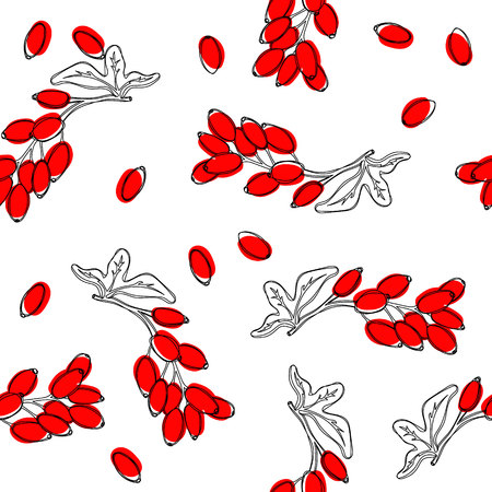 Barberry plant with red berries seamless pattern.の写真素材