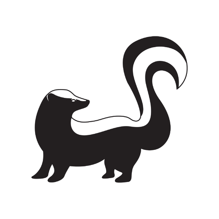 Skunk Vectorのイラスト素材