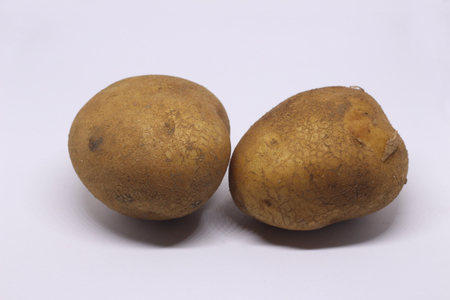 Potatos Vegetable for foodの写真素材
