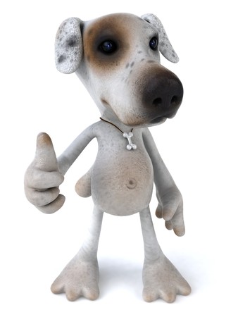 Fun dogの写真素材