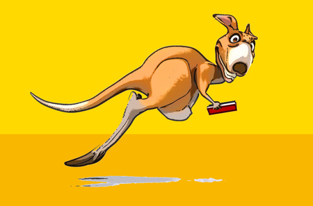 Fun kangarooの写真素材