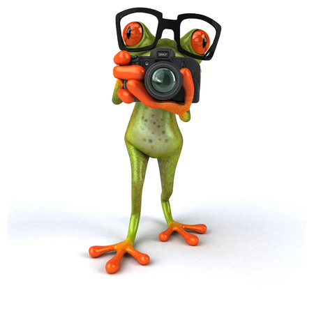 Fun frogの写真素材