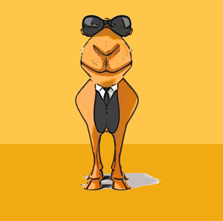 Fun camelの写真素材