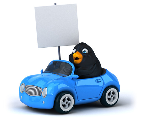 Blackbirdの写真素材