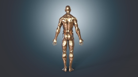 Anatomyの写真素材