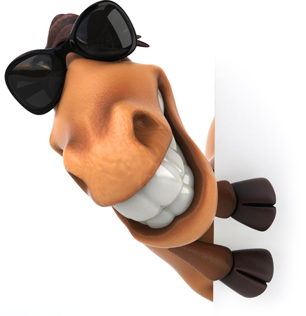 Cartoon horse with sunglassesの写真素材