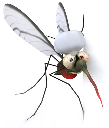 Mosquito wearing chefs hatの写真素材