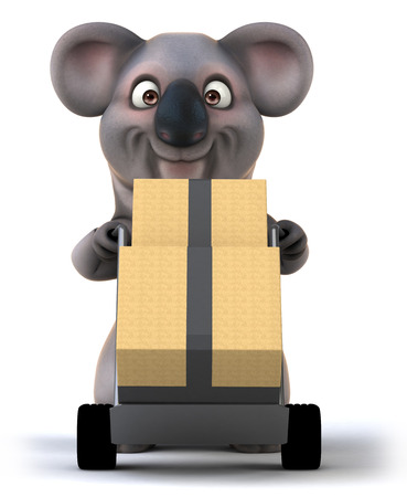 Koalaの写真素材