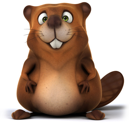 Fun beaverの写真素材