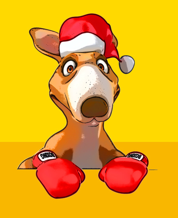 Fun kangarooの写真素材