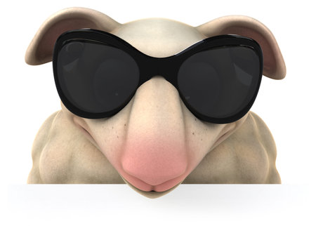 Fun sheepの写真素材