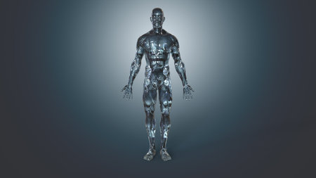 Anatomyの写真素材