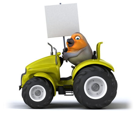 Fun red robinの写真素材