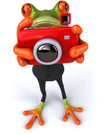 Fun frogの写真素材