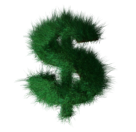Grass dollar symbolの写真素材