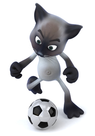 Cat character with a soccer ballの写真素材