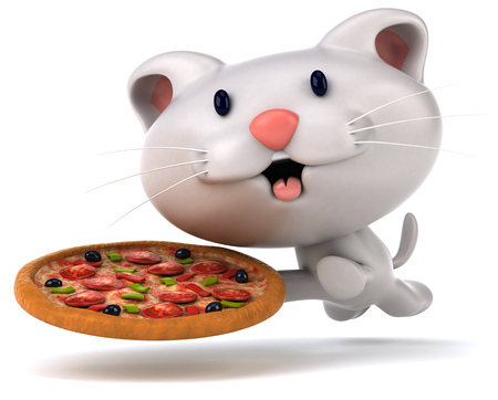 Fun catの写真素材